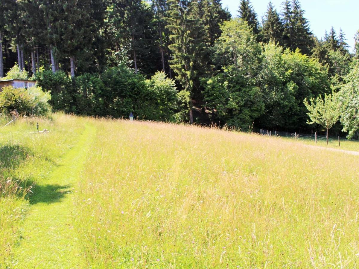 Apartment In Koettmannsdorf Near Bathing Lake Wurdach Luaran gambar